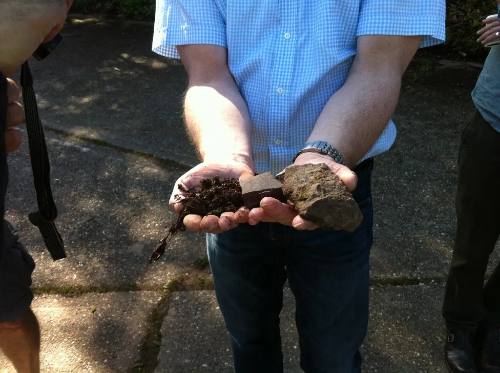 Soil Types in the Pfalz