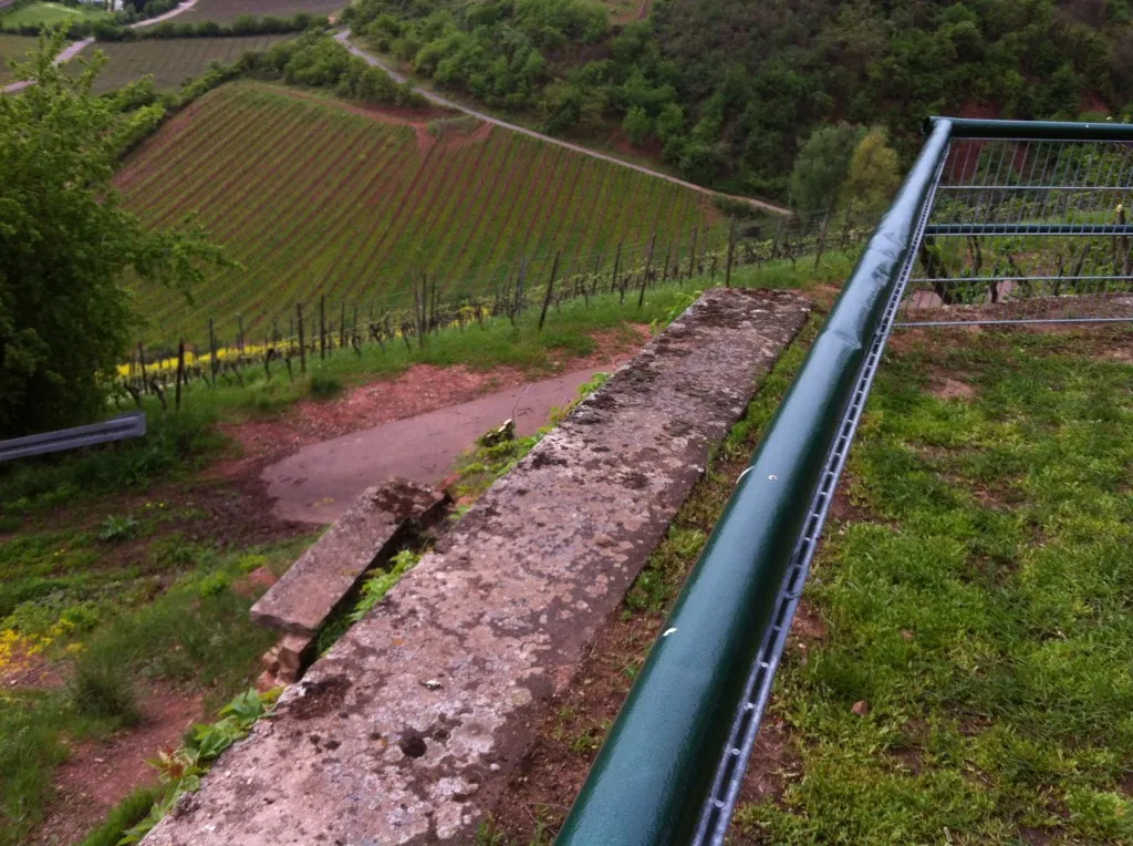 The Vineyards of Hipping